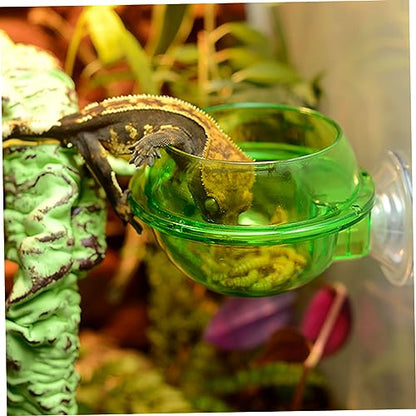 Reptile Bowl Feeder Water Dish Gecko Ledge Suction Cup Accessories for Gecko Lizard Snakes