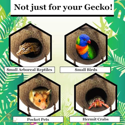 SunGrow Crested Gecko, Snake & Ball Python Coco Hut, Treat & Food Dispenser, Climbing Porch, Hiding, Ideal for Reptiles, Amphibians (with Ladder)