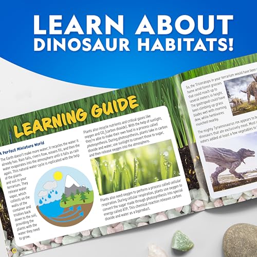 National Geographic Light-Up Dinosaur Terrarium Kit for Kids – Build a Prehistoric Habitat with Play Sand, Real Gemstones & Dino Figures, Science Activity Kit for Boys & Girls
