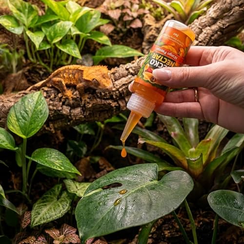 CTWPets Gecko Treat – Liquid Fruit Nectar Drops for Crested Gecko, Day Gecko & Gargoyle Gecko | Treat, Water Additive & CGD Mixer (2oz, Mango Papaya) - size: 2 Fl Oz (Pack of 1)