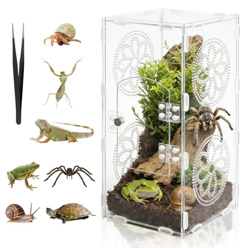 Jumping Spider Enclosure, 11.8"x5.5"x5.9" Acrylic Terrarium Praying Mantis Enclosure with Front Door, Jumping Spider Habitat for Tarantula, Snail, Lizard, Crabs and Small Reptiles