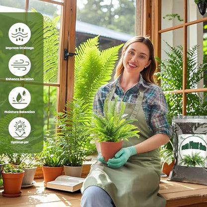 Doter Potting Soil Mix for Fern 2qt, Custom Hand Blended Mixture Suitable for Indoor/Outdoor Potted Fern Plant - size: 2qt