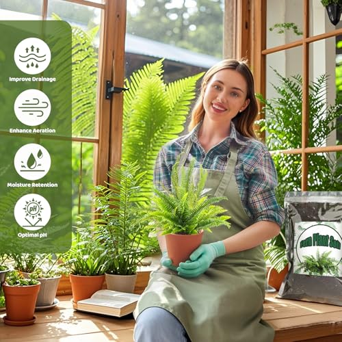 Doter Potting Soil Mix for Fern 4qt, Custom Hand Blended Mixture Suitable for Indoor/Outdoor Potted Fern Plant - size: 4qt