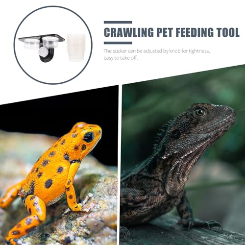 PRETYZOOM Reptile Feeder with Cup Double Feeding Bowl Suction Cup Stable Lizard Food Water Basin for Geckos and Tree Climbing Pets Terrarium Supplies