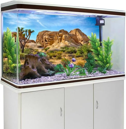 Polyester 5x3ft Joshua Tree National Park Backdrop Arid Barren Cactus Sandstone Rock Climate Mountain and Desert Scenery Backdrop Desert Terrarium Background - size: 5x3ft