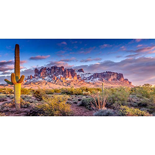 Leyiyi 72x18 inches Arazona Mountain Cactus Photography Background Desert Sunset Summit Western American Travel Hiking Desert Flora Cloud Desolate Cowboy Polyester Backdrop Terrarium Background - color: Desert1, size: 72x18in