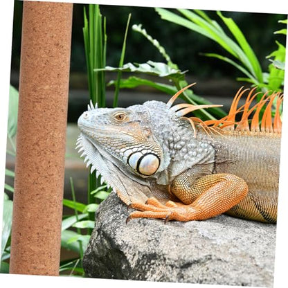 Happyyami Snake Climbing Branch Natural Cork Wood Climbing Stick for Reptiles Birds Small Animals for Basking Resting Habitat Decor