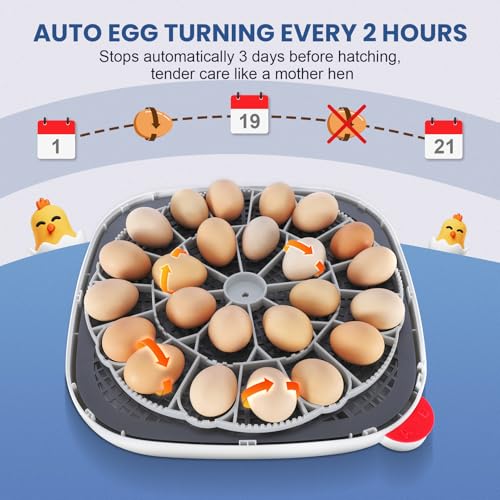 Sailnovo 24 Eggs Incubator for Chicken Eggs with 4 Modes, 360° View Incubator with Automatic Egg Turning and Temperature Control Humidity Display, Digital Incubator for Chicken Quail Duck(Sky Blue)