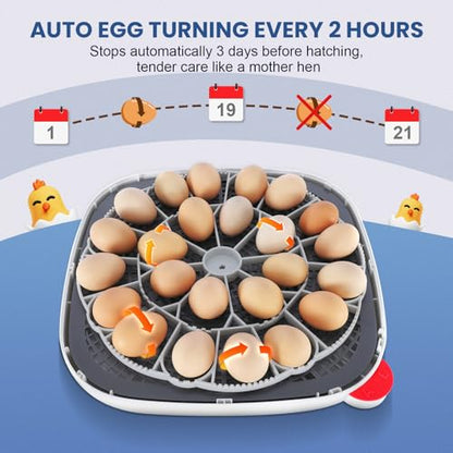 Sailnovo 24 Eggs Incubator for Chicken Eggs with 4 Modes, 360° View Incubator with Automatic Egg Turning and Temperature Control Humidity Display, Digital Incubator for Chicken Quail Duck(Sky Blue)