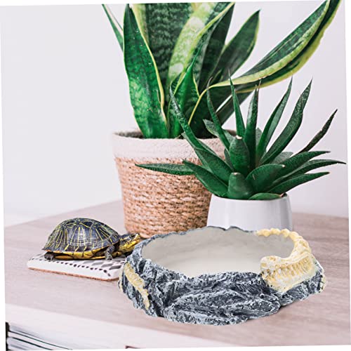 BESPORTBLE Wear-Resistant Decorative Reptile Bowl Water Dish for Turtles Lizards Snakes Feeding Drinking for Reptiles