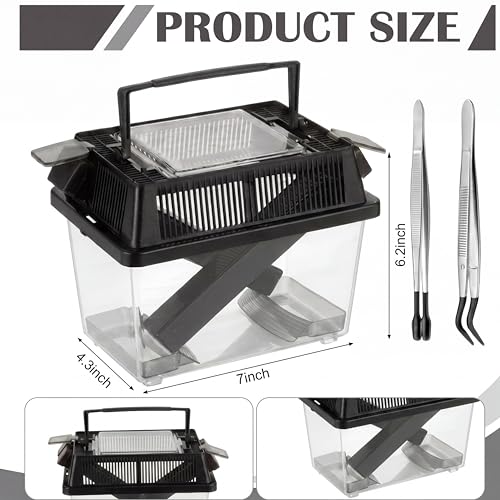 Mifoci Cricket Keeper with Feeding Kit Transparency Cricket Keeper with Tubes Includes Feeding Tongs and Curved Tweezers Insect Breeding Box for Gecko Snake Lizards (2 Pack,7.09 x 4.33 x 6.3 Inches) - size: 7.09 x 4.33 x 6.3 Inches