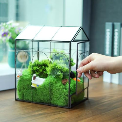 HighFree Geometric Plant Terrarium with Lid, House Succulent Terrarium Kit for Succulents Cacti Snail, Home Tabletop Miniature Terrarium (Black with Side Door) - color: Black With Side Door