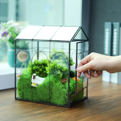 HighFree Geometric Plant Terrarium with Lid, House Succulent Terrarium Kit for Succulents Cacti Snail, Home Tabletop Miniature Terrarium (Black with Side Door) - color: Black With Side Door
