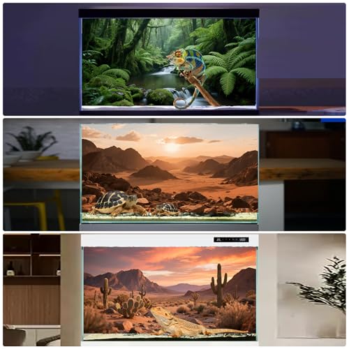 3 Pack Terrarium Background Polyester Reptile Background，Gobi Sunshine Cactus Stone & Green Tree Fern Stream Terrarium (30 inches x 12 inches) - size: 30 x 12 inches