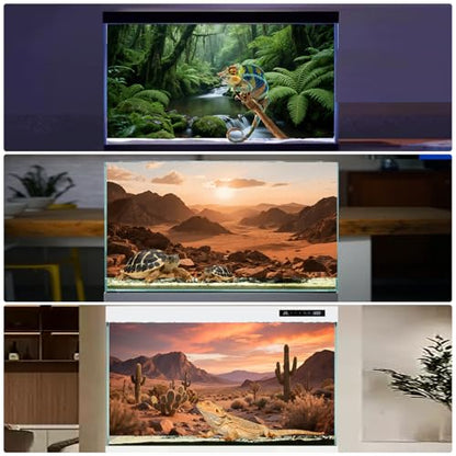 3 Pack Terrarium Background Polyester Reptile Background，Gobi Sunshine Cactus Stone & Green Tree Fern Stream Terrarium (48 inches x 24 inches) - size: 48 x 24 inches