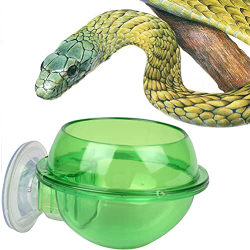 POPETPOP Pet Feeding Bowl Cup Drinking Food Feeder Container Lizard Turtle Reptile Chameleon Gecko Bearded Dragon