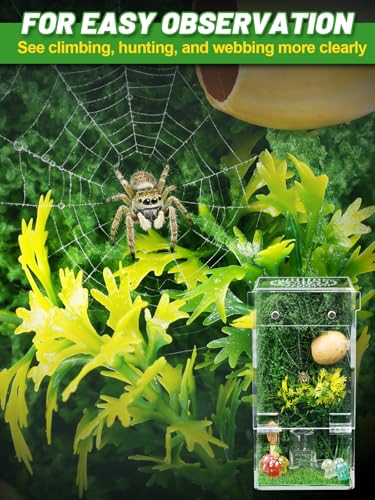 Escape Proof Jumping Spider Enclosure, Tarantula Terrarium Accessories Kit | MADHOLLY One-Piece, No Assembly Required, with Magnetic Door, Micro Vent Holes, DIY Decors, for Mantises/Insects, 3x3x6in