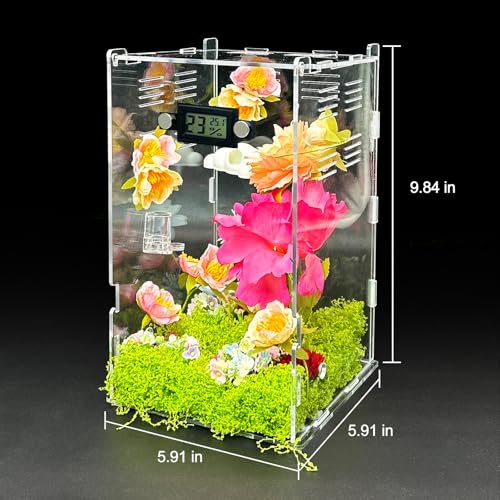 Jumping Spider Enclosure,DIY Insects Habitat,Small Reptile Terrarium Glass House Accessories Set,with Temperature and Humidity Detector Water Feeder Platform Hide,5.5“x5.5”x9.5“ (Garden) - color: Garden
