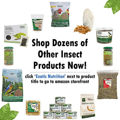 Bug Blend - Healthy High-Protein Dried Insect Treat - Crickets, Mealworms, Grasshoppers - Sugar Gliders, Hedgehogs, Squirrels, Chickens, Skunks, Opossums, Marmosets, Parrots, Birds (3.4 oz.) - size: 3.4 Ounce (Pack of 1)