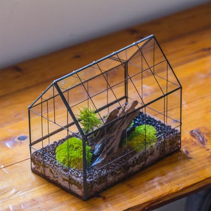 NCYP Geometric Glass Terrarium with Front Opening Door, House Shape Closed Micro Landscape Planter Box for Small Succulent, Cacti - Home Indoor Tabletop Decor, Handmade, Black (No Plants)