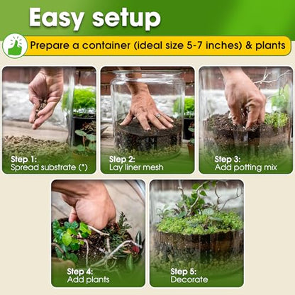 DUSPRO Terrarium Kit, Include Potting Soil, Pumice, Zeolite, Green Moss, Sphagnum Moss, Decorative Stone, Mesh, Tools, DIY Terrarium Kit for Kids, Air Plant, Succulent - size: Terrarium Kit