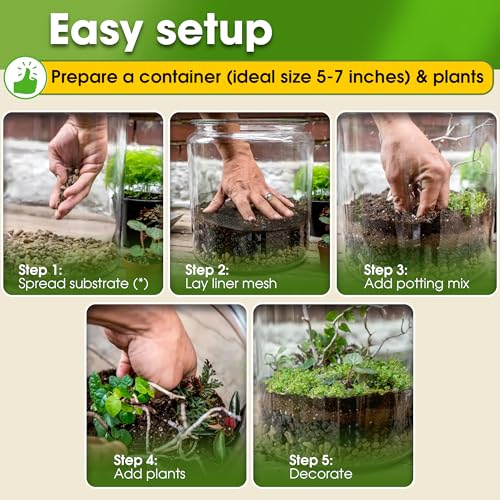 DUSPRO Terrarium Kit, Include Potting Soil, Pumice, Zeolite, Green Moss, Sphagnum Moss, Decorative Stone, Mesh, Tools, DIY Terrarium Kit for Kids, Air Plant, Succulent - size: Terrarium Kit