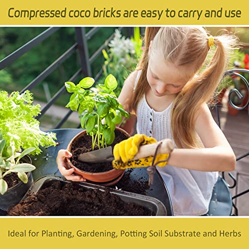 Legigo Pack of 1 Organic Coco Coir Bricks- 100% Natural Compressed Coco Peat Brick Coconut Fiber Substrate with Low EC& pH Balance, Coir Plant Soil Enhance Root Growth for Herbs, Flowers, House Plants - color: Pack of 1