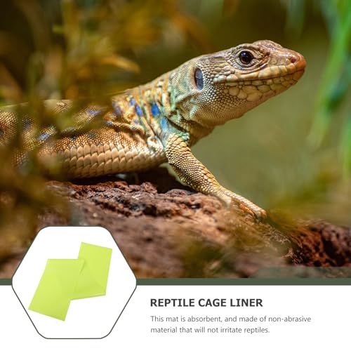 2Pcs Reptile Mat EVA Non-Stick Heat Absorbing Terrarium Bedding Pad for Tanks Floor Liner for Bearded Dragon Snakes Lizards Turtles