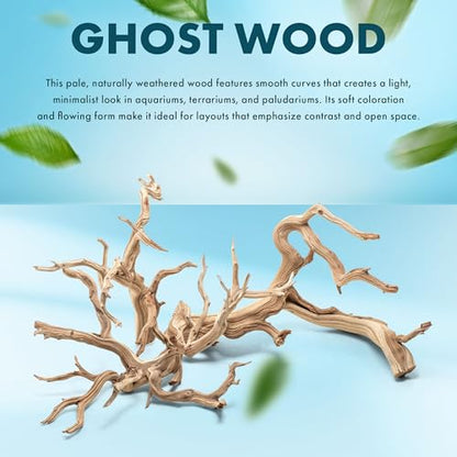 SubstrateSource Natural Aquarium Driftwood for Fish Tanks, Terrarium, Reptile Habitats, Freshwater Aquatic Decor - Small to Large Pieces (Ghost Wood (Small) 8-12", 3 Pieces) - size: 3 Pieces
