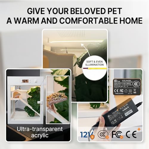 Lizard Habitat Terrarium,Reptile Enclosure, Crested Gecko Tank, Suitable for Any Pets Requiring Temperature-Controlled Climate, Ecological Breeding Tank, No Assembly Required, 9" x 9" x 12"