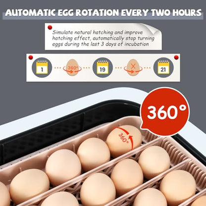 Sailnovo 70 Egg Incubator for Hatching Eggs with Auto Egg Turning and Auto Humidification, Temperature Control, Egg Candler, Large Incubator for Chicken, Duck, Goose, Pigeon, Quail, Parrot Eggs, Grey