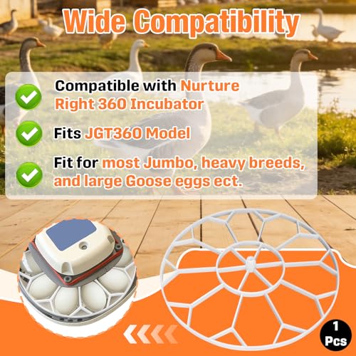 10 Jumbo Eggs JGT360 Goose Egg Tray Compatible with Nurture Right 360 Incubator, Large Goose Egg Turner Tray for Incubating Geese and Other Poultry
