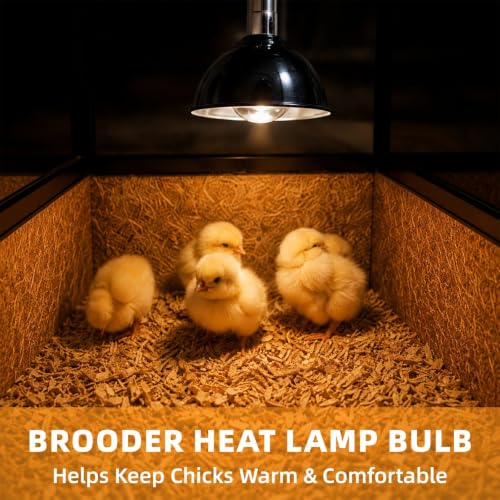 250W Clear Heat Lamp Bulbs, 8000 Hours Rated, R40 Bathroom Shower Incandescent Light Bulb, Infrared Heating for Chickens, Reptiles, Pets, Food, E26 Base, 2 Pack - color: White, size: 2 Pack