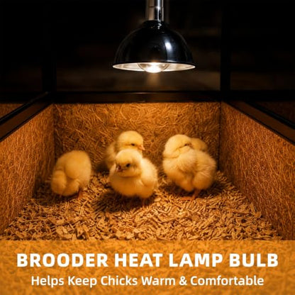 250W Clear Heat Lamp Bulbs, 8000 Hours Rated, R40 Bathroom Shower Incandescent Light Bulb, Infrared Heating for Chickens, Reptiles, Pets, Food, E26 Base, 2 Pack - color: White, size: 2 Pack