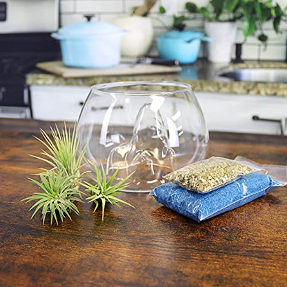 6 Inch Glass Mountain Bowl DIY Terrarium Kit with Sand, Gold Flakes and 3 Live Tillandsia Air Plants for Indoor Gardens and Home Decor