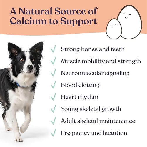 Gentle Creatures Egg Shell Calcium Powder for Pets, Ultra Fine, 7 oz, Highly Absorbable Pet Food Supplement, Made in Germany