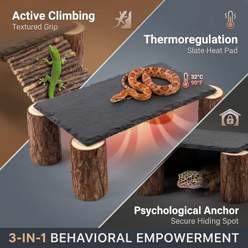 Bearded Dragon Basking Platform Natural Slate Rock with Wood Log Legs & Branch Ramp, Reptile Hide Basking Spot Tank Decor, Suitable for Leopard Gecko, Tortoise, Ball Python Small Black