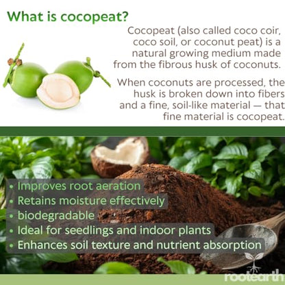 Natural Coco Coir Brick 2.2LB – Expands to 3-4 gallons, Low EC Natural Coconut Coir Growing Medium for Gardening, Seed Starting, Indoor & Outdoor Plants, Potting Soil Mix