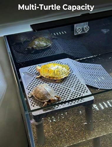 SolidForm Turtle Basking Platform with Ramp, Built-in Food Tray, Zero Zip-Tied, Non-Slip Ramp, 2 Adjustable Height Turtles Dock, for 25–75 Gallon Aquariums(11-in Width) Turtle Tank Accessories - size: Medium（10×7.8inches）