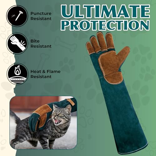 HANDLANDY Animal Handling Gloves, Bite-Proof, Scratch-Resistant, Pet Gloves for Dogs, Cats, Falconry, Gardening - color: Emerald Green, size: 24 Inches