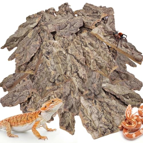 BNOSDM Reptiles Cork Bark Substrate,1.4lb Bearded Dragon Champagne Cork Bark Flats Hide Climbing,Reptiles Wood Bedding Terrarium Decor Tank Accessories for Lizards Snake Gecko Tarantula Isopods（M） - size: 1.4LB - M：3.93~5.9inch