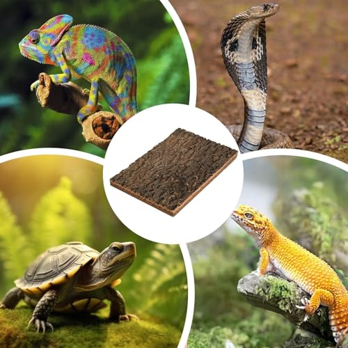 Cork Bark for Reptiles - Natural Terrarium Climber | Water-Resistant Cork Bark for Climbing, Exercise, and Hiding, Perfect Snakes, Lizards, Tortoises, Geckos, Turtles, Chameleons, Pet Terrariums
