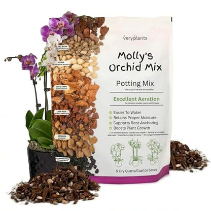 Molly's Orchid Potting Mix - Premium Gritty Soilless Orchid Mix - Chunky High Drainage vs Standard Potting Soil for Indoor Plants - Contains Bark, Coco Chips, Akadama, Pumice, Lava Rock 5 Dry Quarts - size: 5 Dry Quarts, style: Orchids