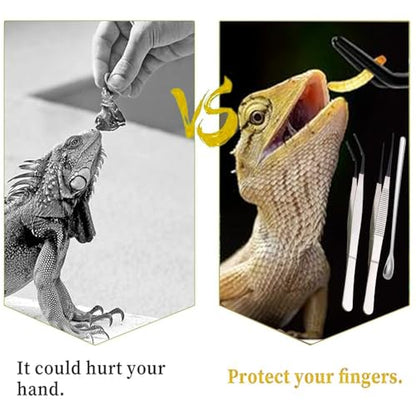 Ouliget Reptile Feeding Tool Set,Rubber Tip Straight Curved Feeding Tongs Tweezers Feeding Spoon,Small Reptile Food Plastic Dish Bowl for Geckos Lizards Bearded Dragons