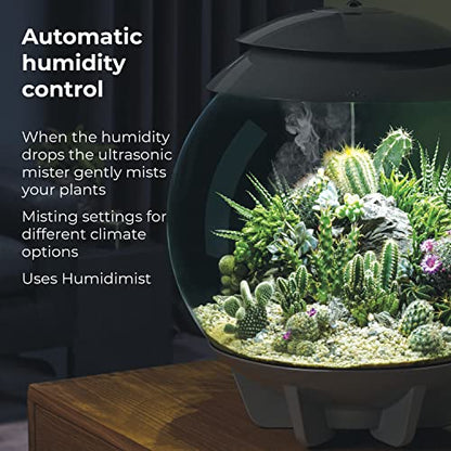 biOrb AIR 30, Fully Automated Terrarium for Arid, Temperate, or Tropical Plants, Gray - color: Grey