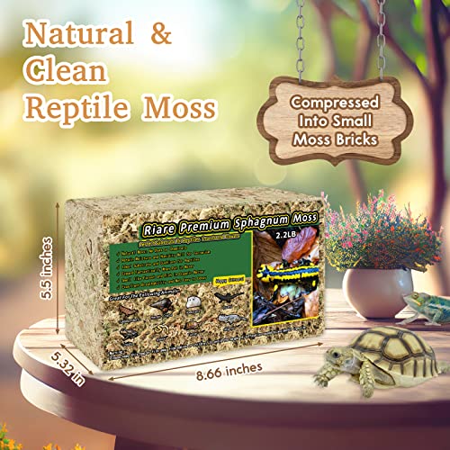 Riare 50QT Natural Sphagnum Moss for Reptiles 2.2LB Terrarium Reptiles Moss | Dried Terrarium Moss Bedding for Snakes Turtles Frogs Geckos Ball Pythons Lepard Gecko Lizards Bearded Dragon & Humid Hides - color: 2.2 LB