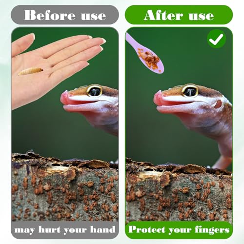 2 PCS Reptile Spoon, Long Handle Gecko Feeding Spoon, Crested Gecko Food Mixing Spoons for Crested Geco Bearded Dragon Gargoyle
