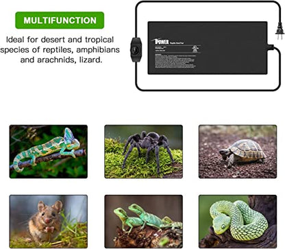 iPower 8 by 18-Inch Reptile Heat Mat with Temperature Adjustable Controller Knob, LCD Digital Aquarium Thermometer, Under Tank Warmer Terrarium Heat Pad for Reptiles and Amphibians - size: 8 X 18 Inch, style: Pad with Adjust Knob+ Thermometer