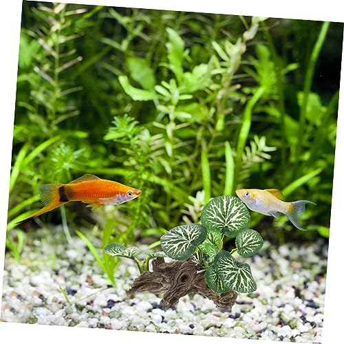 Toddmomy Realistic Artificial Reptile Plant for Tank Sphagnum Moss Decor Fish Tank Landscape
