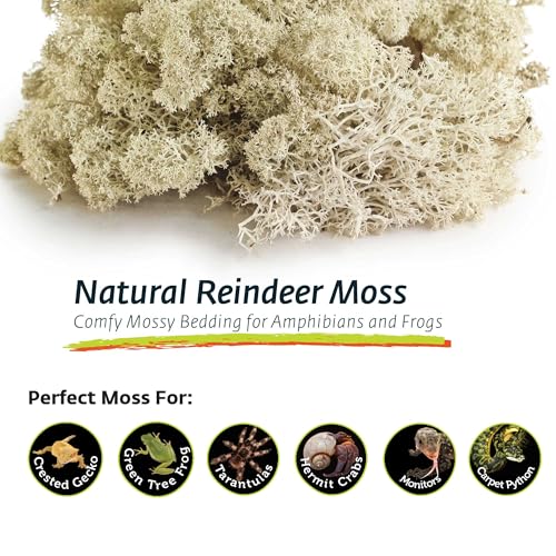 Galapagos (05180 Reindeer Moss, Natural, 150in3 Header Bag